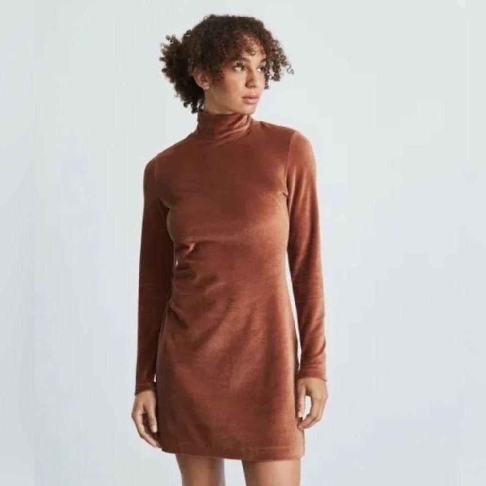 Everlane Velour Stucco Mock Neck Mini Dress size XS